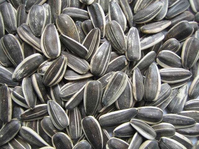 category_nuts_sunflower-seeds.jpg